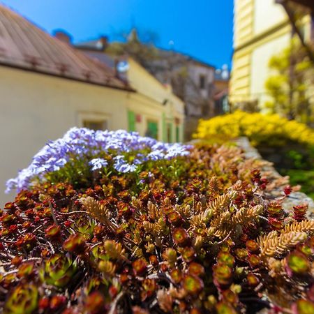 Penzion U Hradku Kutná Hora Zewnętrze zdjęcie